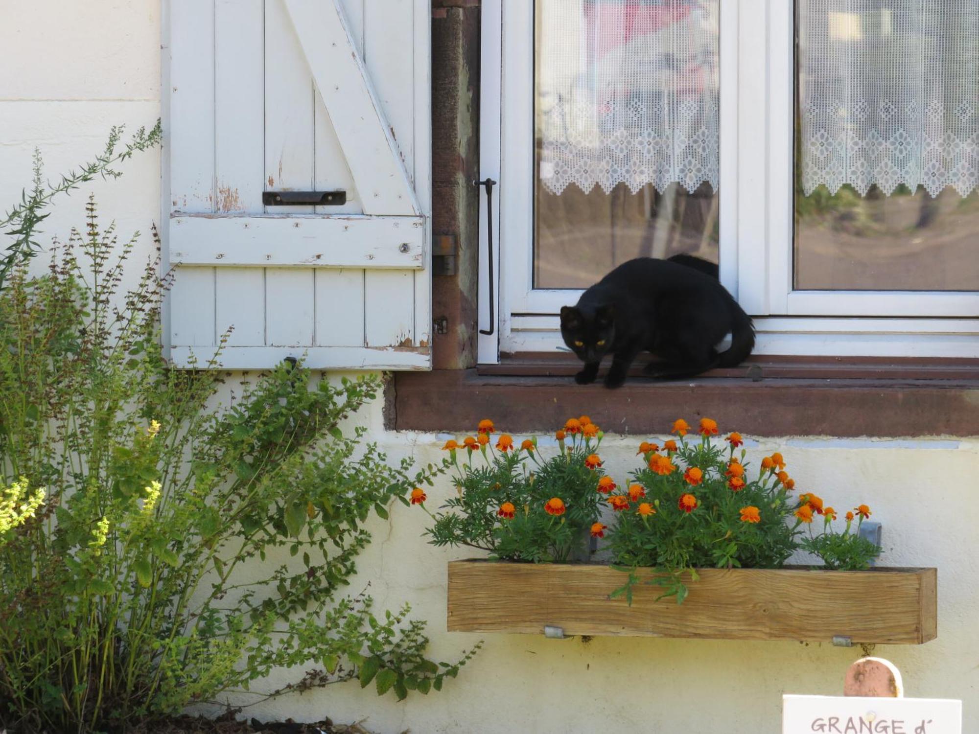Grange D'Anjeux Bed & Breakfast Kültér fotó